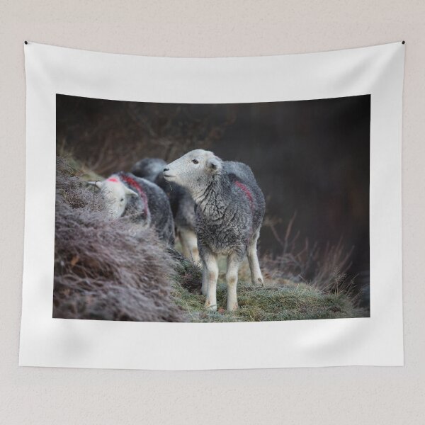 Item preview, Ullswater Herdwick Sheep designed and sold by Phil Buckle.