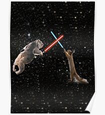 Star Wars the Koala strikes back Poster