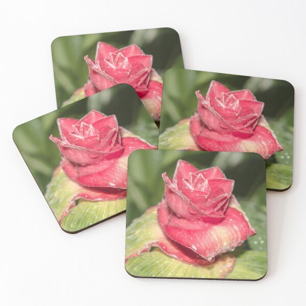 Item preview, red flower in the shape of a rose with water drops on it, macro designed and sold by nataliavavilina.