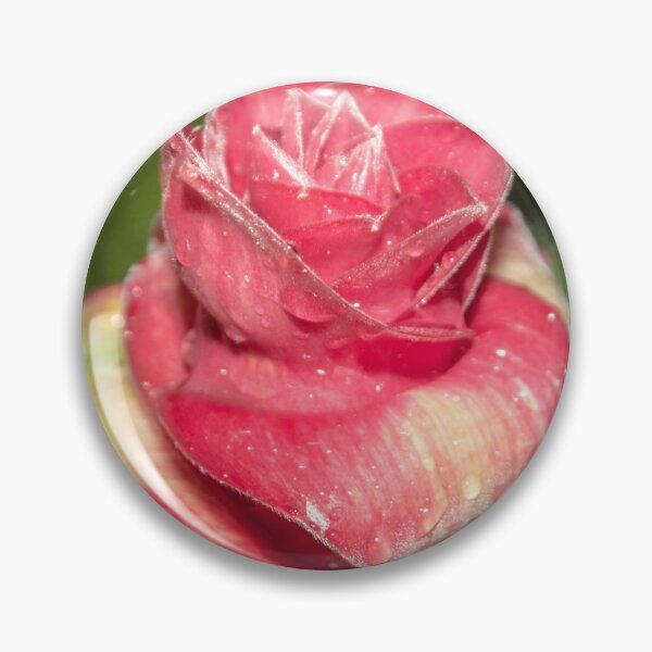 Item preview, red flower in the shape of a rose with water drops on it, macro designed and sold by nataliavavilina.