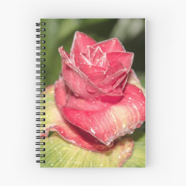 Item preview, red flower in the shape of a rose with water drops on it, macro designed and sold by nataliavavilina.