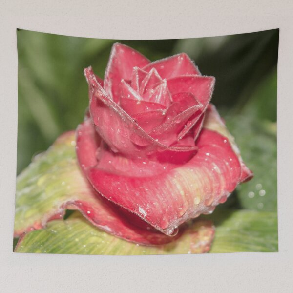 Item preview, red flower in the shape of a rose with water drops on it, macro designed and sold by nataliavavilina.