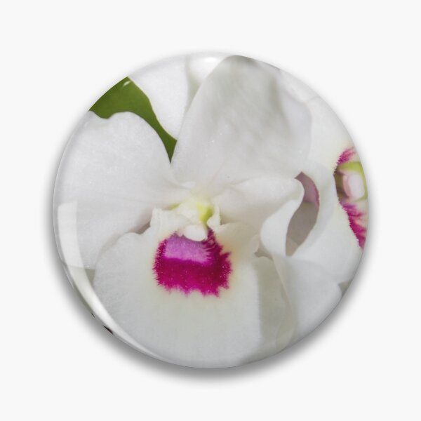 Item preview, macro photo of a white flower with a pink center designed and sold by nataliavavilina.