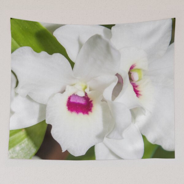 Item preview, macro photo of a white flower with a pink center designed and sold by nataliavavilina.