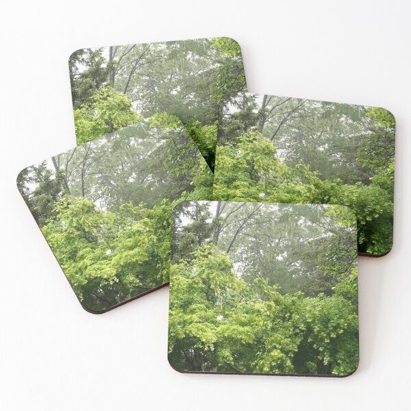 Item preview, In the rainforest designed and sold by DDonutzArt.
