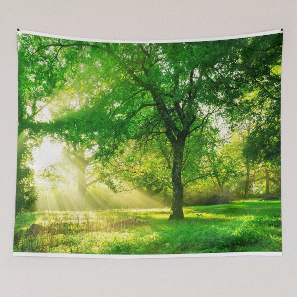 Item preview, Green Forest Landscape Sunrise designed and sold by JTS STORE.