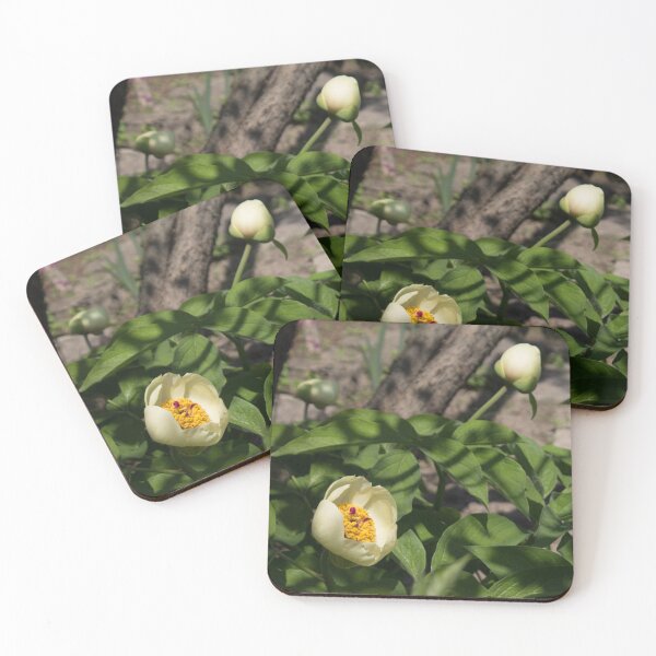 Item preview, two peony flowers surrounded by foliage designed and sold by nataliavavilina.