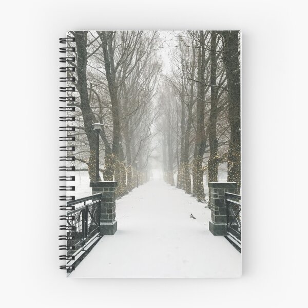 Item preview, Willow Path Colgate University designed and sold by dgrimmig.