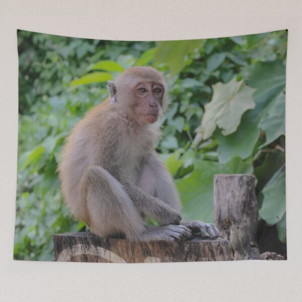 Item preview, Monkey in the Wild, Railay Thailand designed and sold by Bryony Rose.