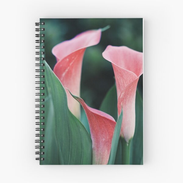 Item preview, Calla Lilies Pink Flowers designed and sold by mwagie.