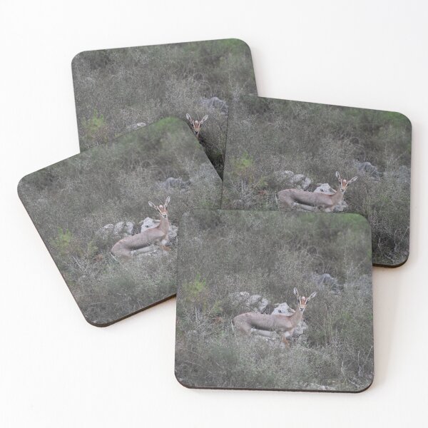 Item preview, Gazelle designed and sold by DanaLauraPhoto.