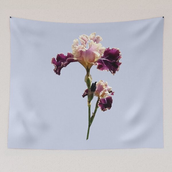 Item preview, Magenta and Pink Irises designed and sold by Susan Savad.