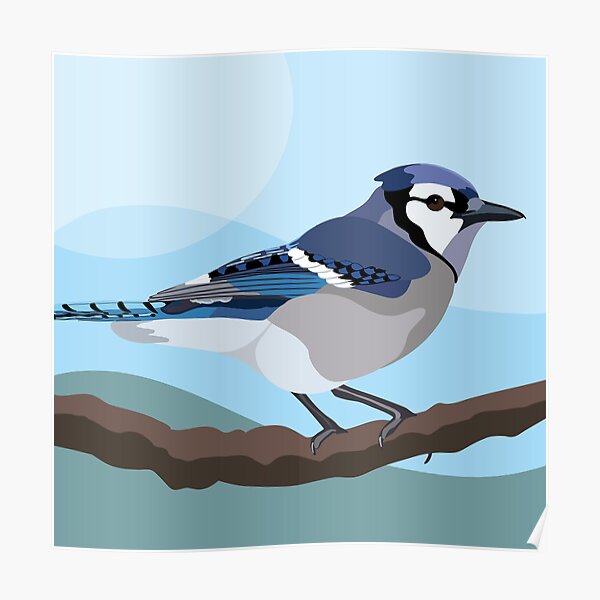 Blue Jay Bird Hugging Northern Cardinal Poster by alwe-designs