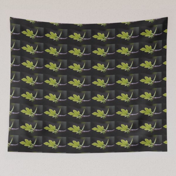 Item preview, Fig Tree in Jerusalem designed and sold by DanaLauraPhoto.