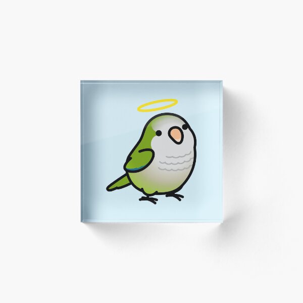 Custom Chubby Quaker Parrot - Chely Acrylic Block
