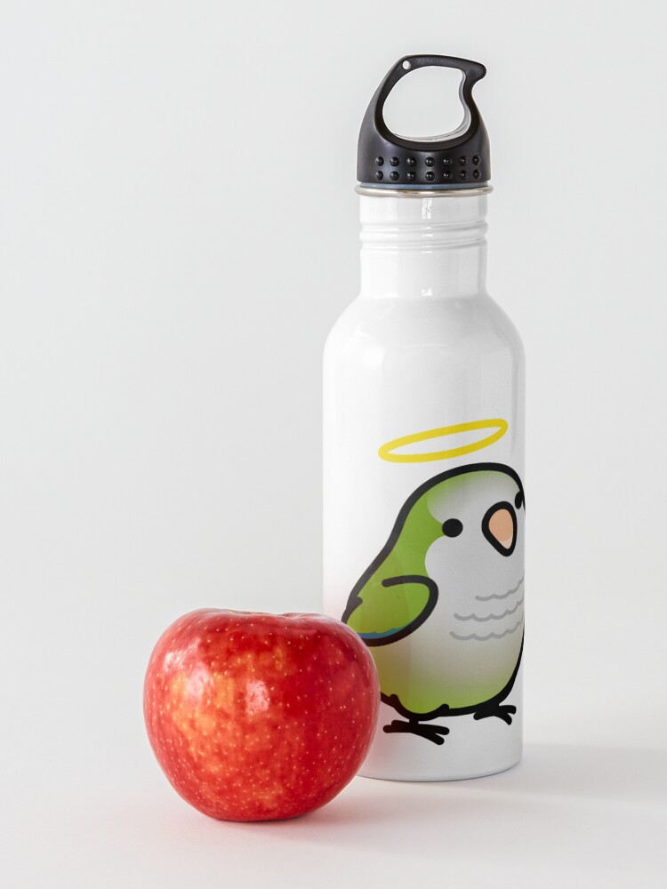 "Custom Chubby Quaker Parrot Chely" Water Bottle by birdhism Redbubble