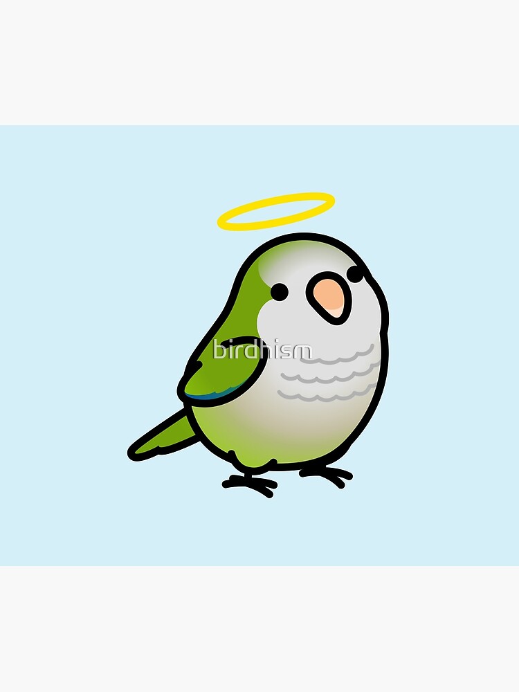 Custom Chubby Quaker Parrot - Chely by birdhism