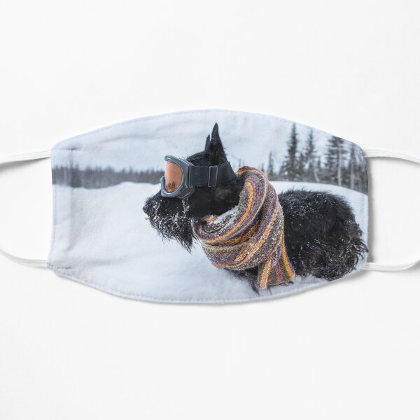 Scottish terrier wearing scarf and ski mask in a winter snow Flat Mask