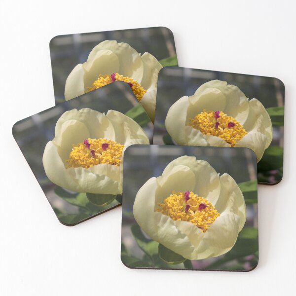 Item preview, macro photo of a yellow peony flower surrounded by foliage designed and sold by nataliavavilina.