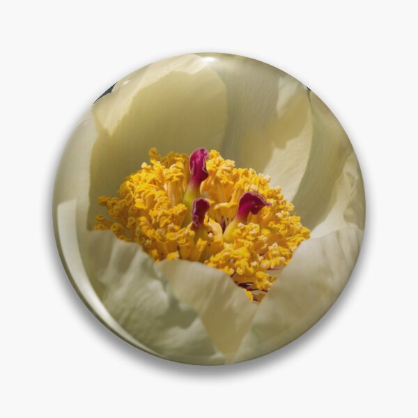 Item preview, macro photo of a yellow peony flower surrounded by foliage designed and sold by nataliavavilina.