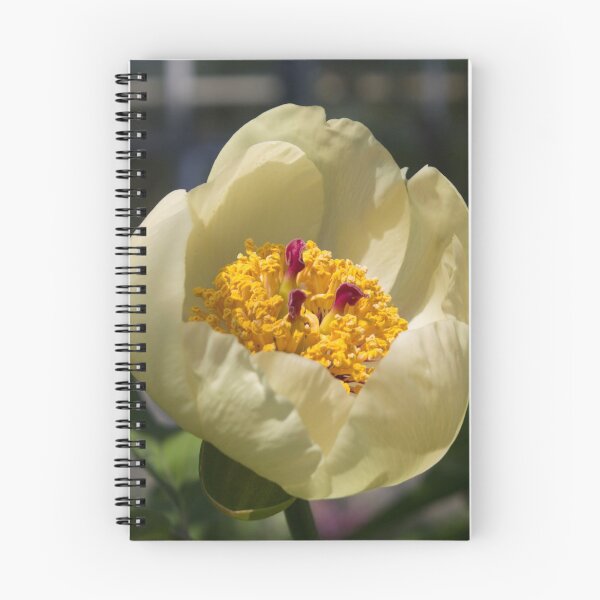 Item preview, macro photo of a yellow peony flower surrounded by foliage designed and sold by nataliavavilina.