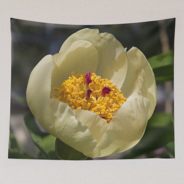 Item preview, macro photo of a yellow peony flower surrounded by foliage designed and sold by nataliavavilina.