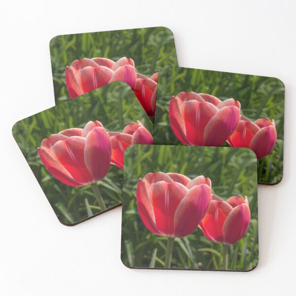 Item preview, two red tulips illuminated by the sun, on a background of green foliage designed and sold by nataliavavilina.