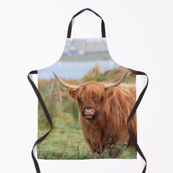 Item preview, Long haired Highland cattle - Highland cow, Highlander, Heilan coo - Thurso, The Highlands, Scotland designed and sold by NatureSight.