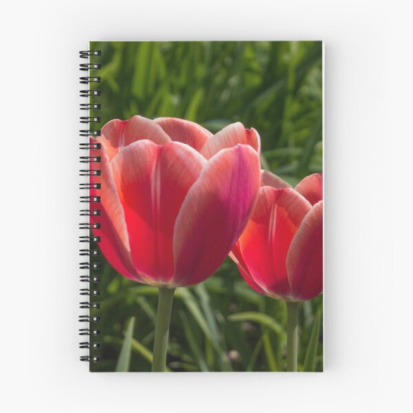 Item preview, two red tulips illuminated by the sun, on a background of green foliage designed and sold by nataliavavilina.