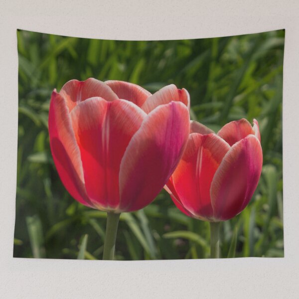 Item preview, two red tulips illuminated by the sun, on a background of green foliage designed and sold by nataliavavilina.