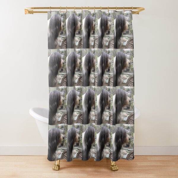 Bearded Collie - Did Somebody Say Walkies to this Beautiful Beardie?! Shower Curtain