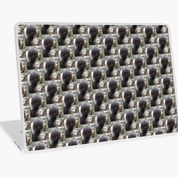 Bearded Collie - Did Somebody Say Walkies to this Beautiful Beardie?! Laptop Skin