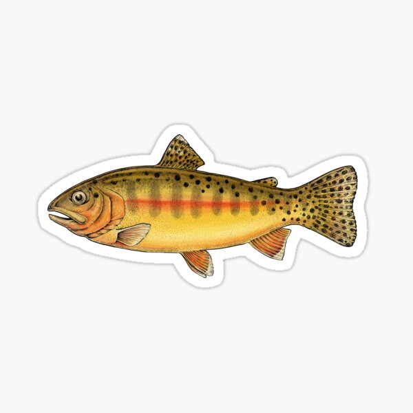 Localwaters Native Cutthroat Trout Decal catch release fishing sticker cut  throat trout - Localwaters