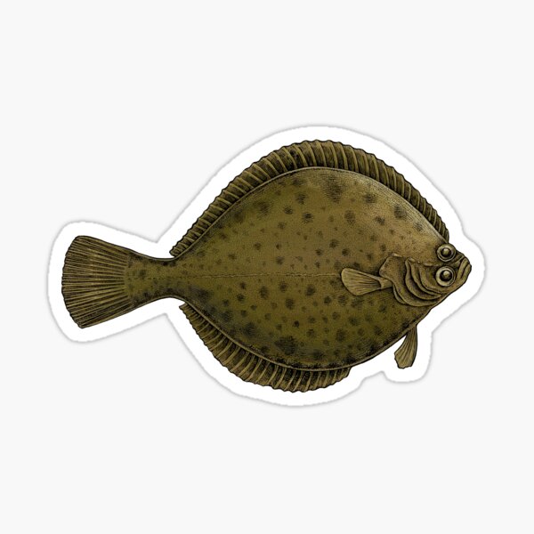 Flatfish Stickers for Sale