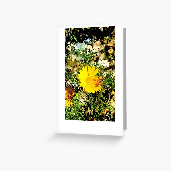 An awesome flower from nature Greeting Card