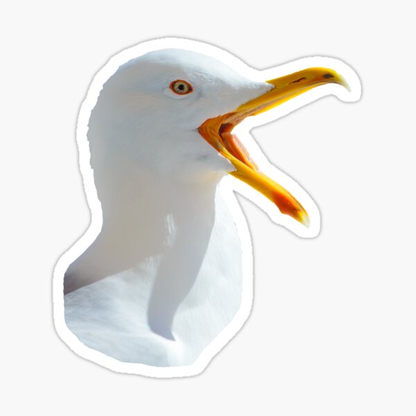 Item preview, Laughing Yellow Legged Gull designed and sold by OwlOccasions.