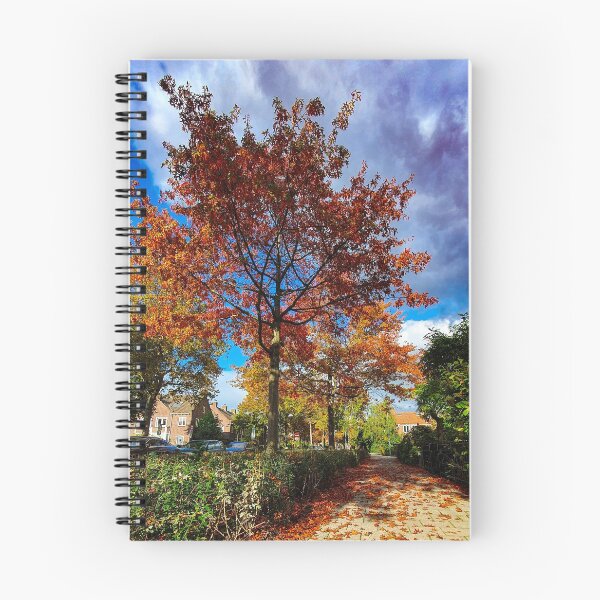 Item preview, Autumn Tree - Photography  designed and sold by BaldingSnail.