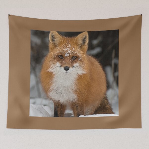 Item preview, Zorro, Animal Espíritu Waagosh designed and sold by Mind2Line.