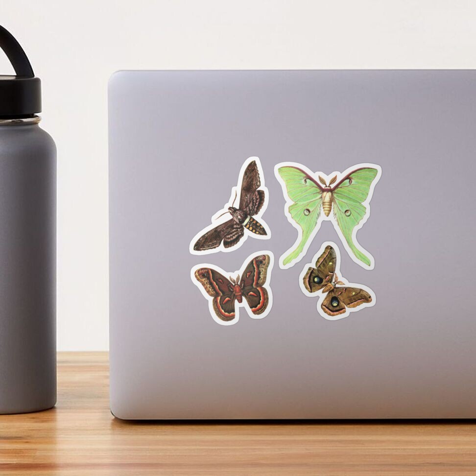 Moths - Sticker Pack Sticker for Sale by elevens