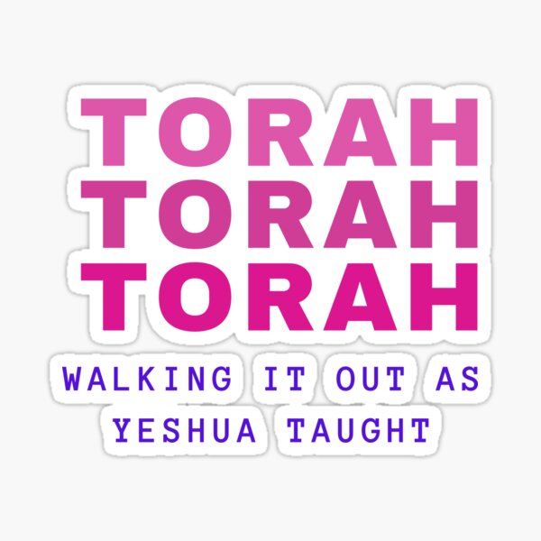 Pink Torah Sticker