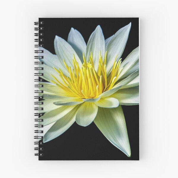 Item preview, White Nymphaea Water Lily designed and sold by Julie Pickering.