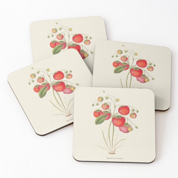 Item preview, Strawberry Antique Botanical Illustration designed and sold by Antiquated Art.