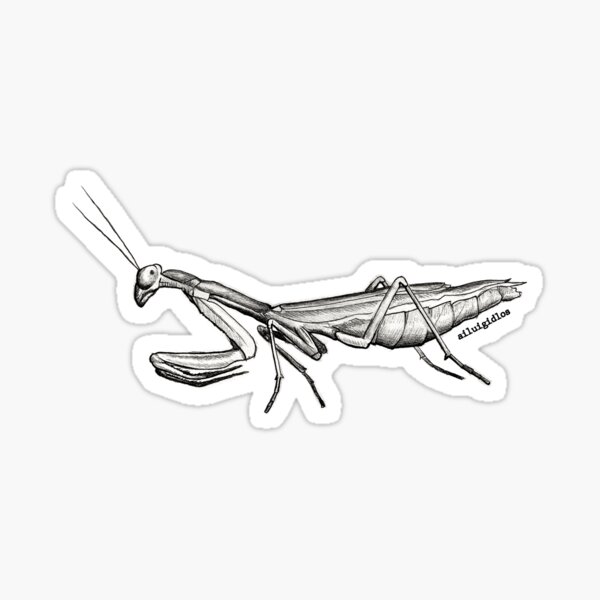 Item preview, Prayng Mantis designed and sold by Ailuigidlos.