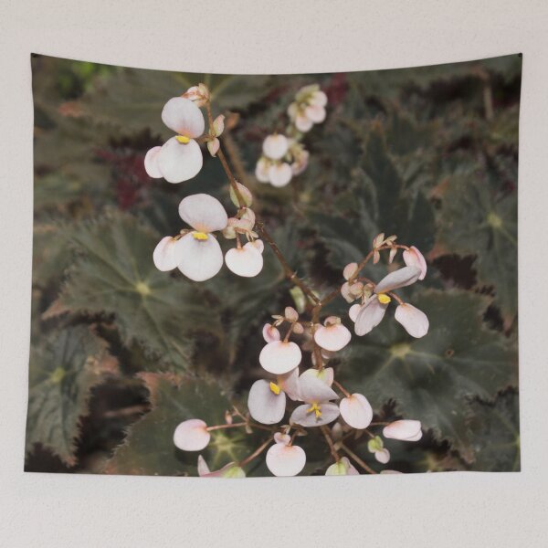 Item preview, small pink flowers with a yellow center on a background of dark green foliage designed and sold by nataliavavilina.