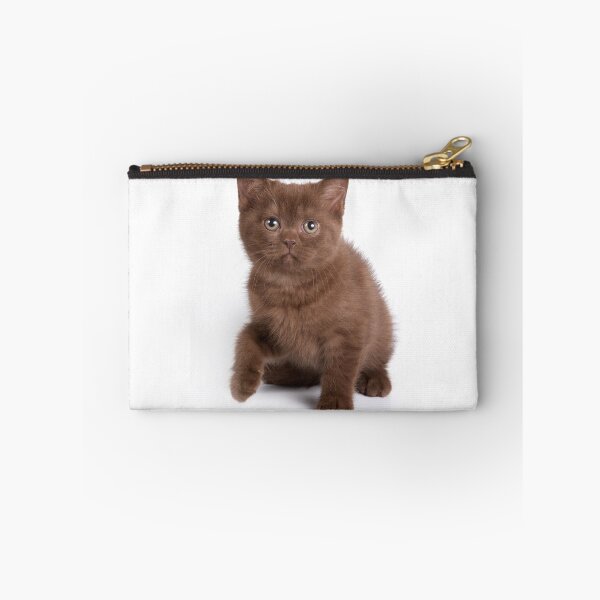 Item preview, Brown soft fluffy kitten designed and sold by utekhina.