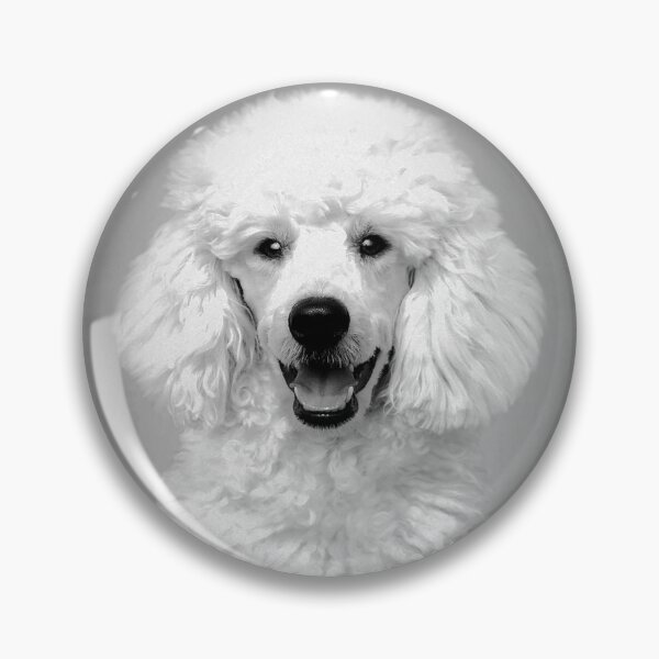 Item preview, Poodle dog - BW Vintage - D12 designed and sold by DecoVintage.
