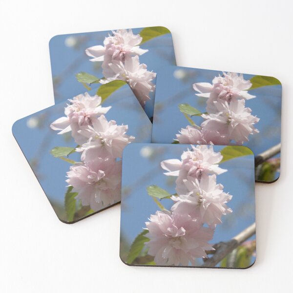 Item preview, light pink flowers on a tree branch against a blue sky background designed and sold by nataliavavilina.