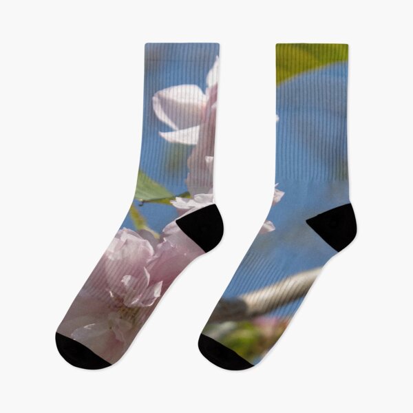 Item preview, light pink flowers on a tree branch against a blue sky background designed and sold by nataliavavilina.