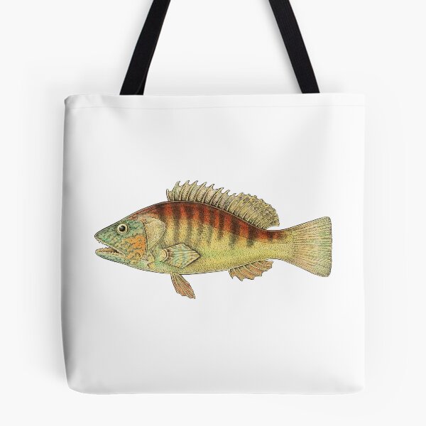 Item preview, Banded Sea Perch designed and sold by Evgenia's Fish Art.