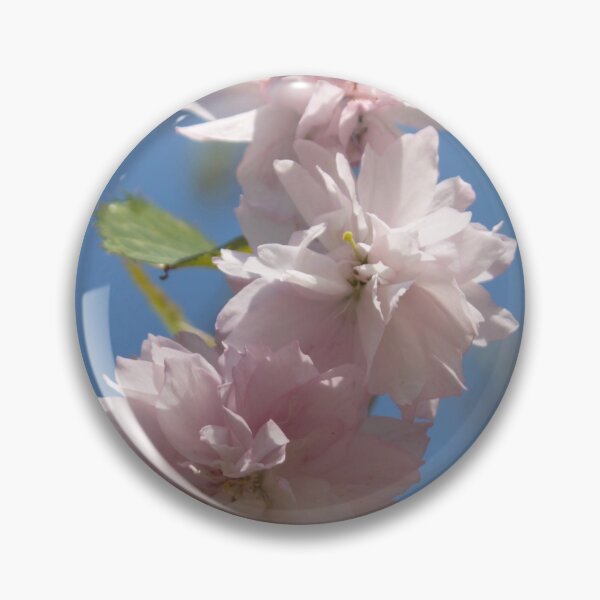 Item preview, light pink flowers on a tree branch against a blue sky background designed and sold by nataliavavilina.